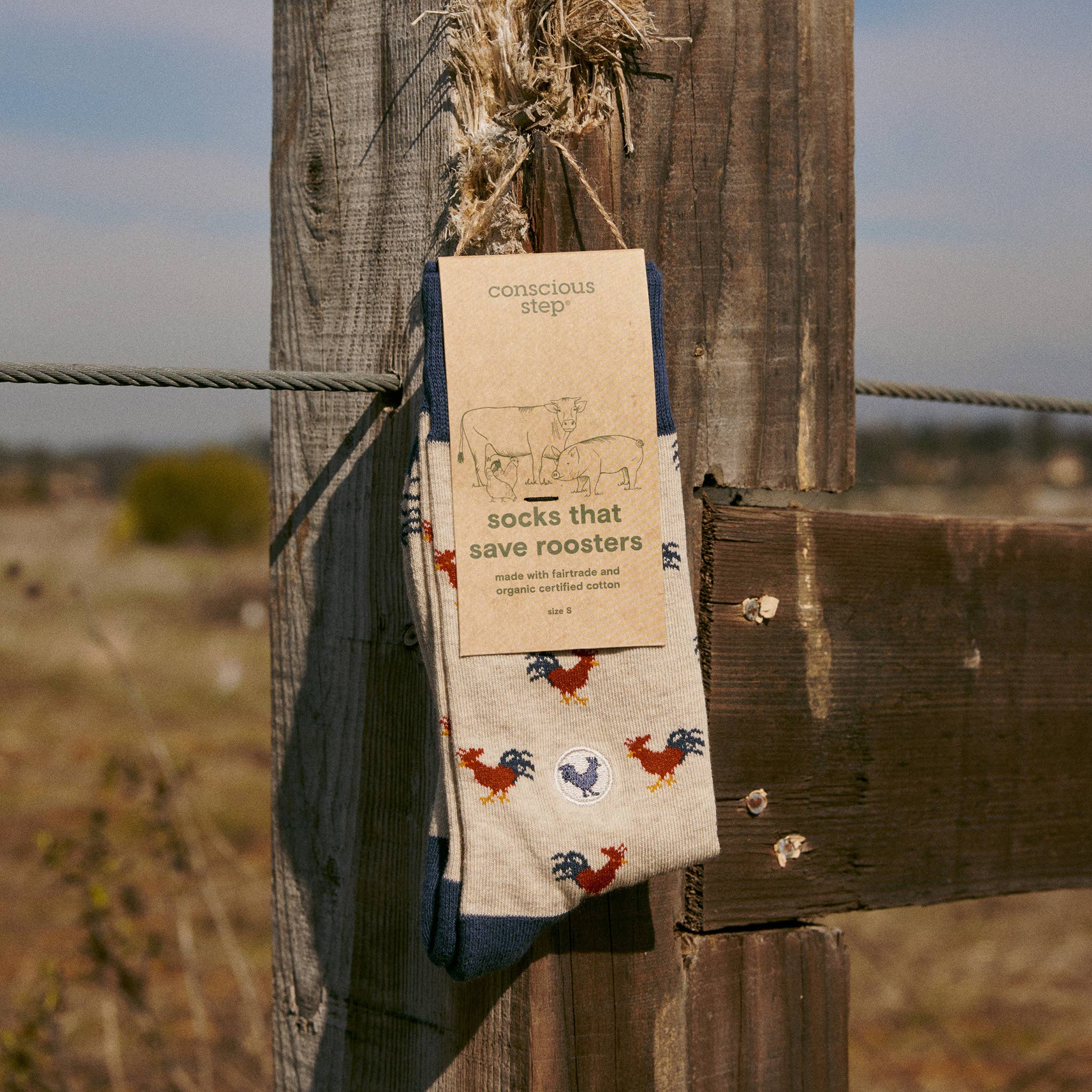 Conscious Step: Socks that Save Roosters - Image 4
