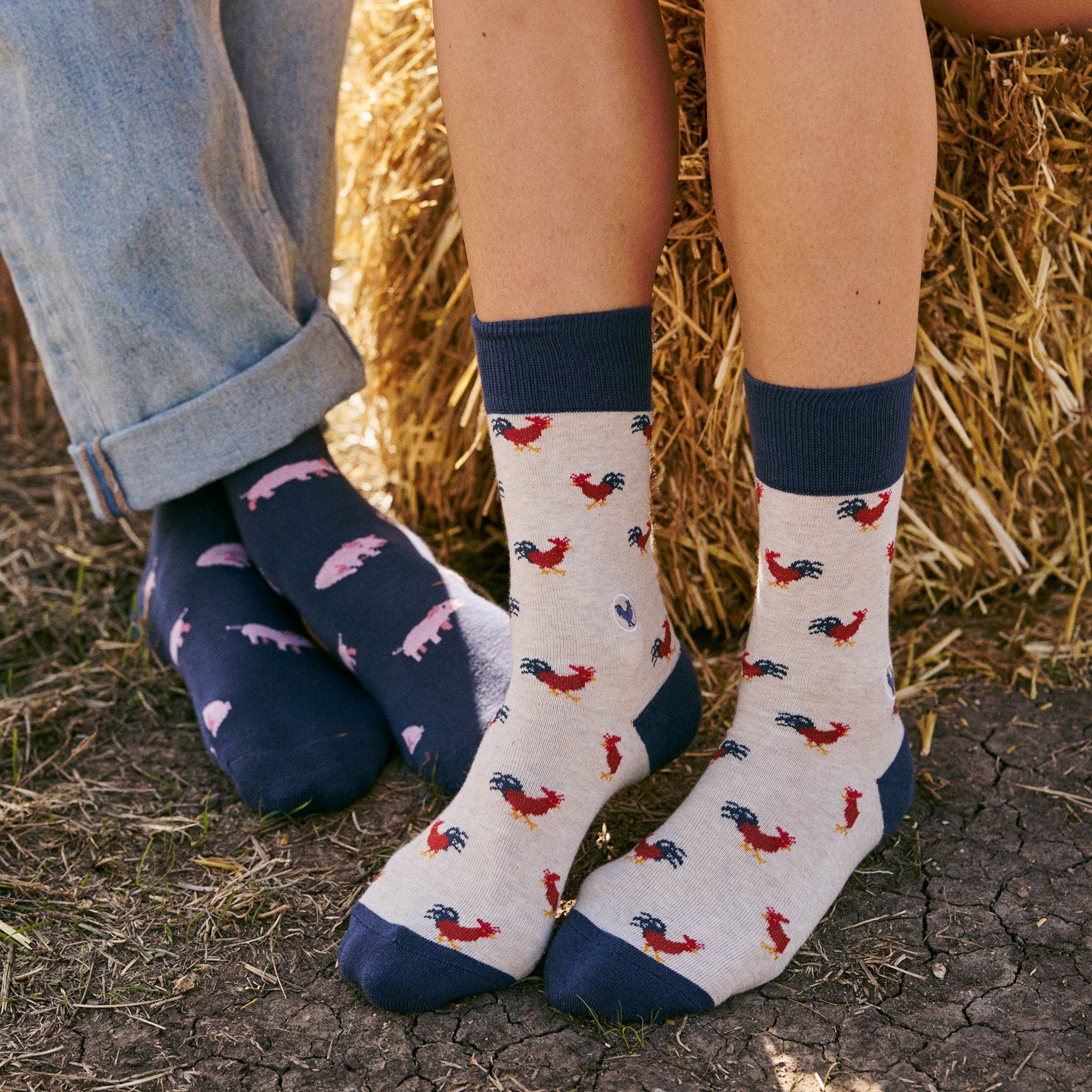 Conscious Step: Socks that Save Roosters - Image 8