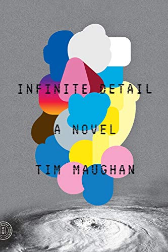 Infinite Detail: A Novel