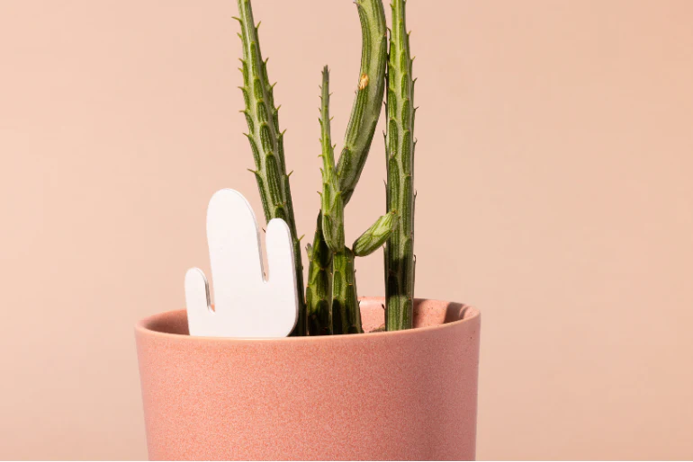 Daphne's Botanicals: Cactus PlantDoc: Color-Change Plant Moisture Meter - Image 3