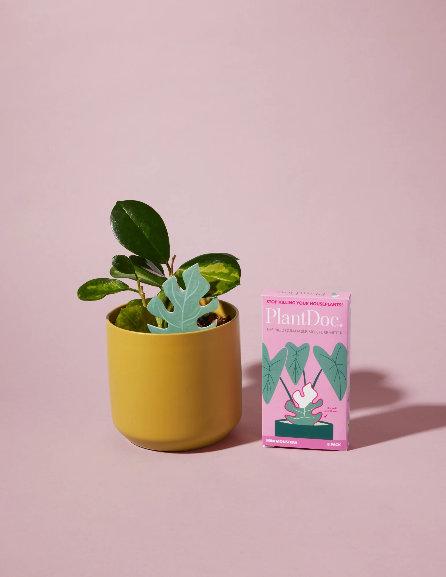 Daphne's Botanicals: Mini Monstera PlantDoc: Color-Change Plant Moisture Meter