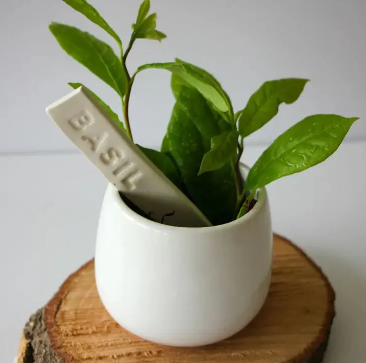 Prodigal Pottery: Herb Markers (Assorted) - Image 3