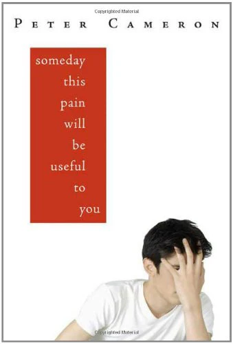 Someday This Pain Will Be Useful to You: A Novel