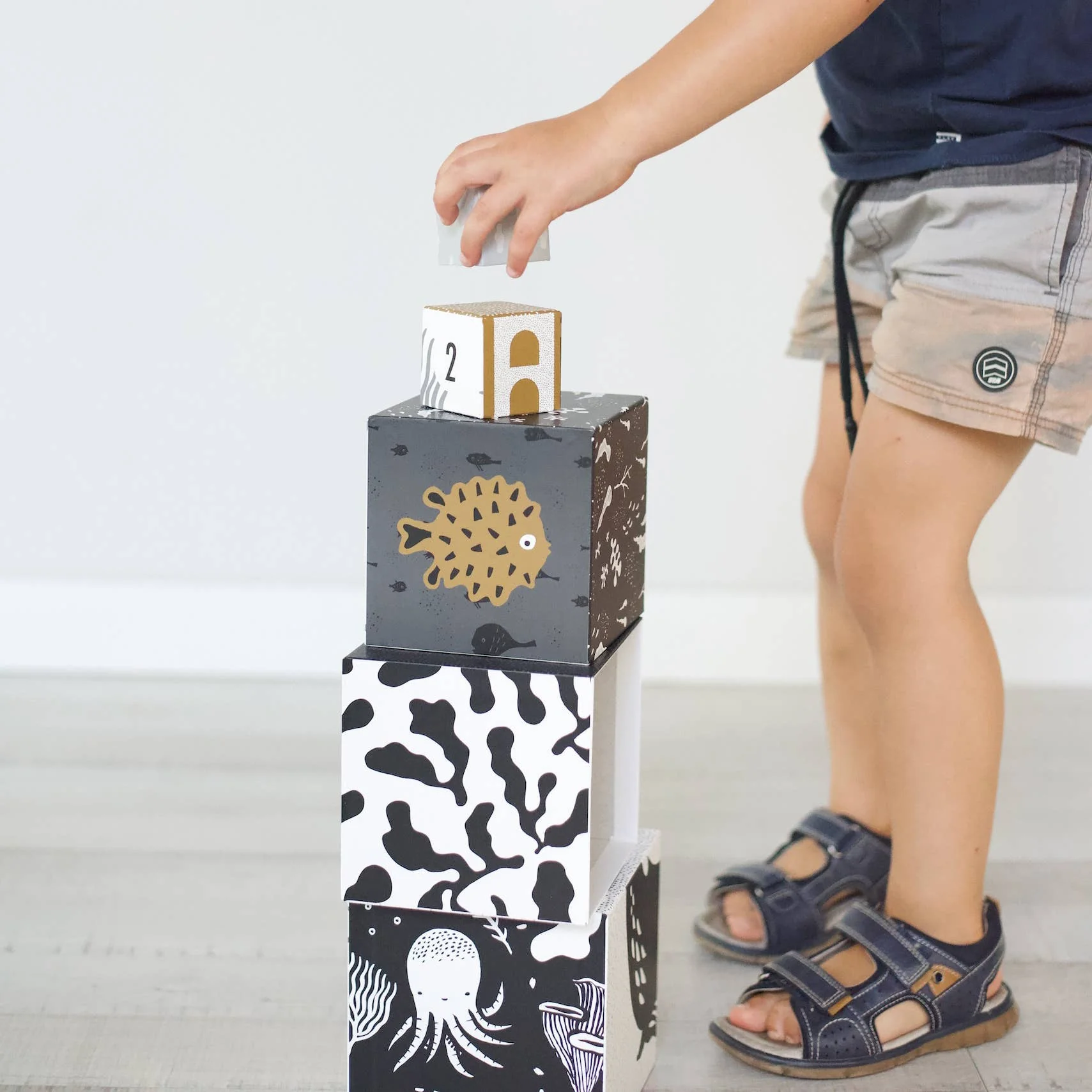 Wee Gallery: Nesting Blocks - Ocean Animals - Image 5